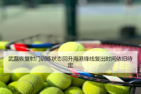 武磊恢复射门训练状态回升海港锋线复出时间依旧待定